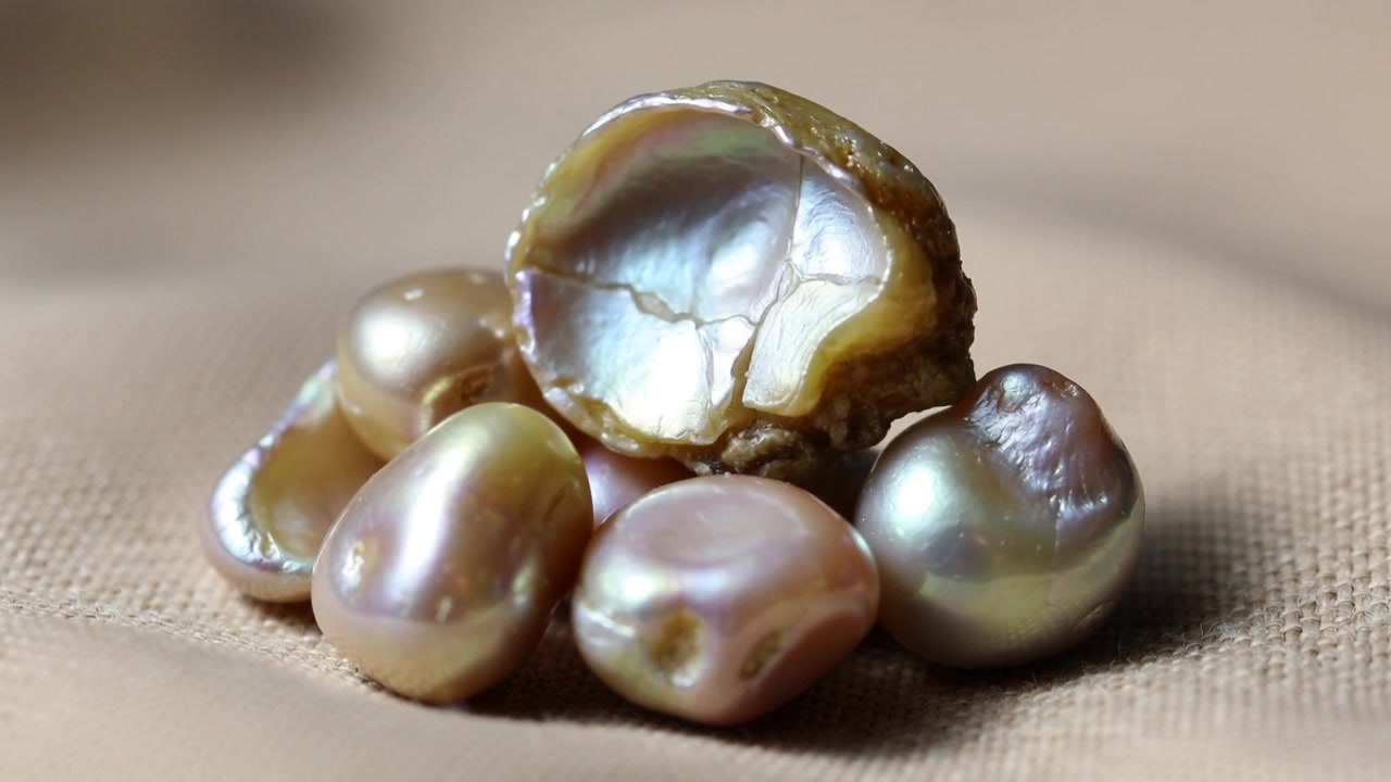 Telecamera in movimento che riprende un frammento di conchiglia rotante, perle barocche che si muovono, rivelando una cavità di madreperla su un panno beige.