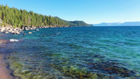 agua cristalina en la costa del lago tahoe con olas ondeando pacíficamente en la playa en las montañas de sierra nevada con rocas y bosques de pinos - toma amplia