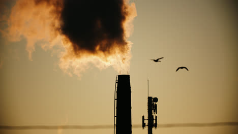 chimenea de fábrica que emite humo a la atmósfera mientras bandadas de pájaros vuelan por encima