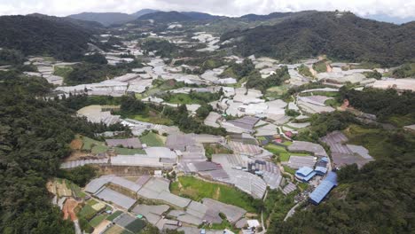 general landscape view of the brinchang district within the cameron highlands area of malaysia