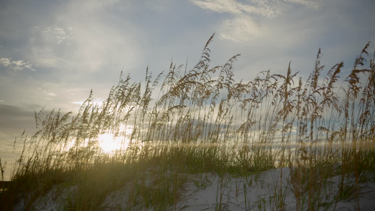 해변 모래 언덕에서 아나모픽 일몰 촬영