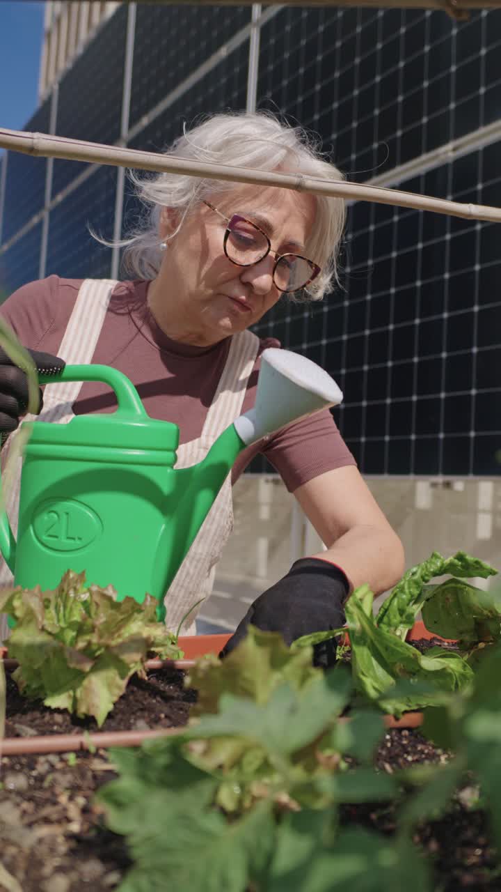 Senior Woman Gardening on Rooftop with Solar Panels