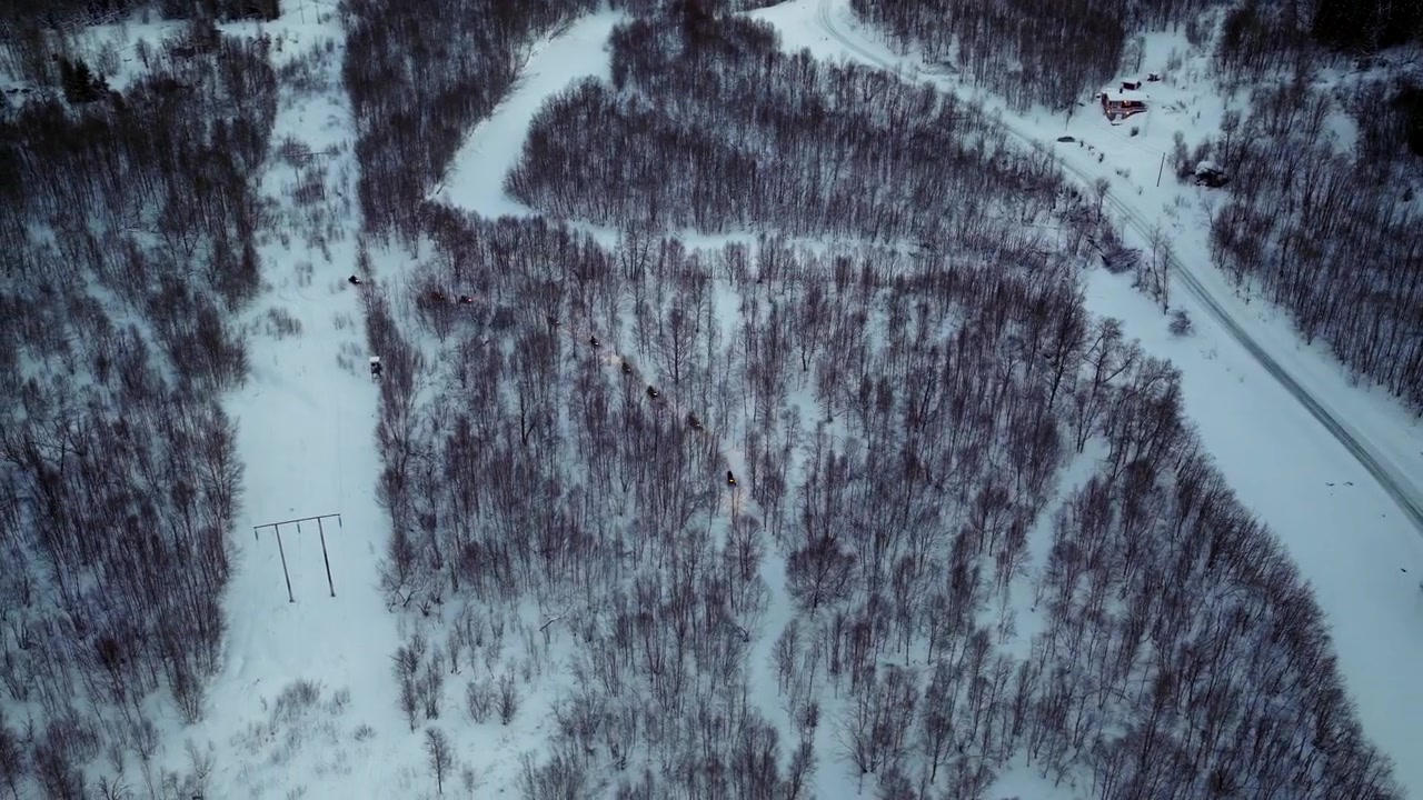 Motoslittisti viaggiano lungo un percorso tortuoso in una foresta di betulle innevata durante la notte polare vicino a Tromsø, Norvegia, panoramica con drone di un'esperienza di tour guidato.