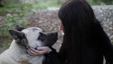 primer plano de un simpático perro akita besando la cara de una chica