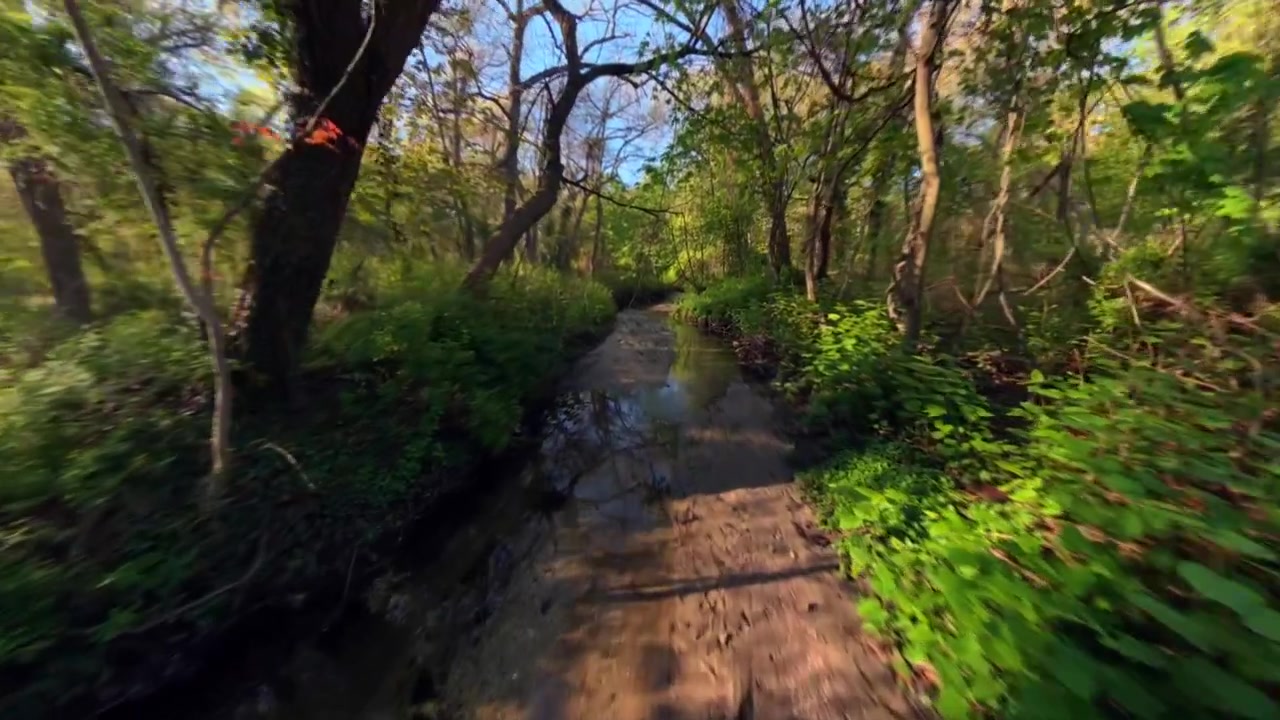 A low altitude FPV view flying over a shallow stream under trees in Valley Stream State Park on a sunny day. The camera dolly in following the path of the narrow stream.