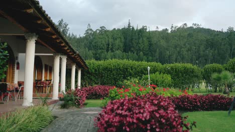 Casa-En-Medio-Del-Bosque