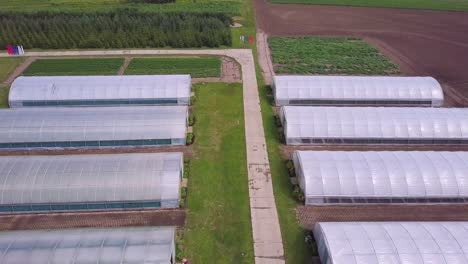 aerial view of a greenhouse farm