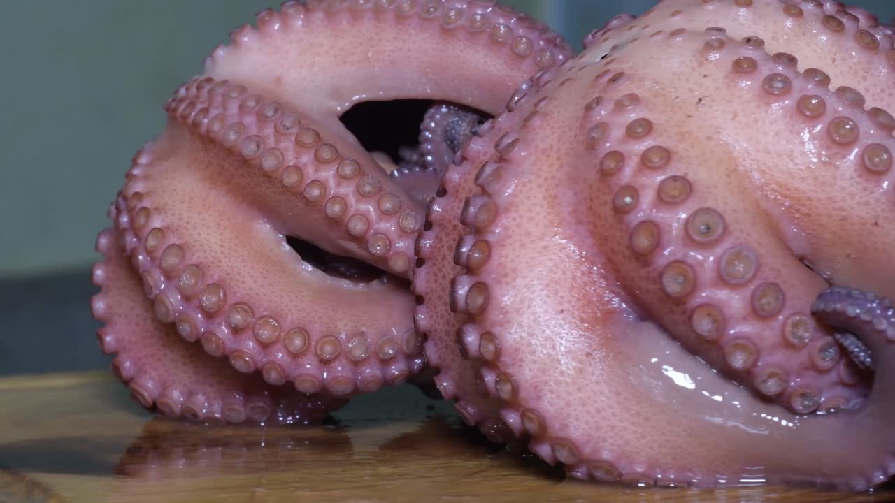 옥토푸스 (octopus) 는 식당에서 먹는 해산물이며, 식당에서 테이블 위에 준비된 해산물이다.