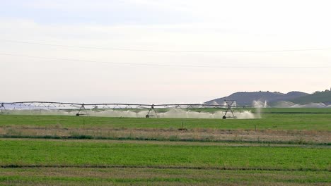 circle pivot irrigation