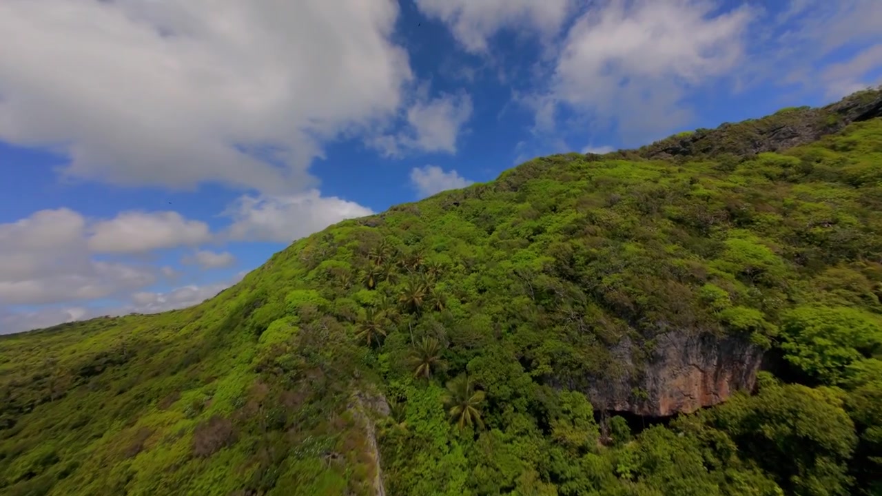 Volo di drone FPV sopra una lussureggiante vegetazione verde e scogliere rocciose a Playa Fronton nella Repubblica Dominicana