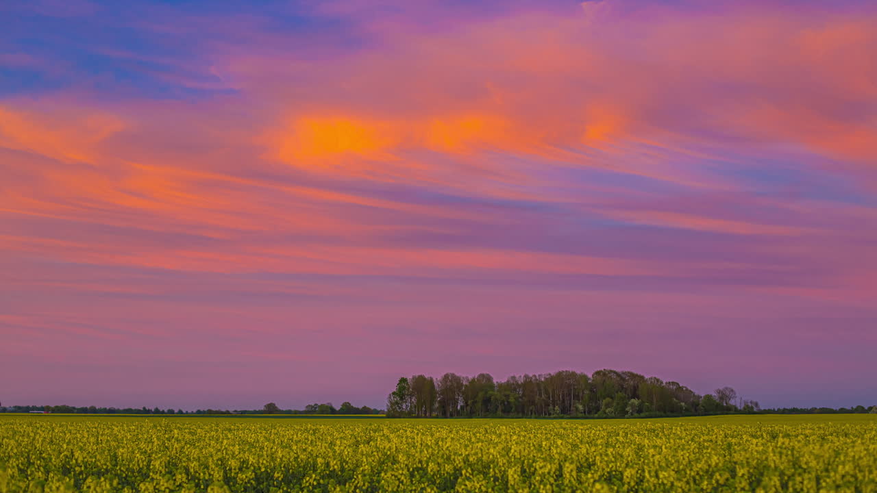 nubes coloridas moviéndose en el cielo, sol desde la puesta de sol en las nubes, campo de flores amarillas