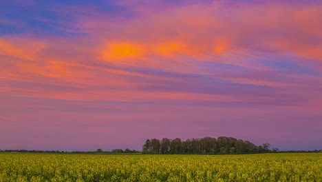 colorful clouds moving in sky, sunshine from sunset on clouds, yellow flower field