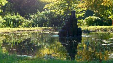 Kleiner-Teich-In-Einem-Freizeitpark