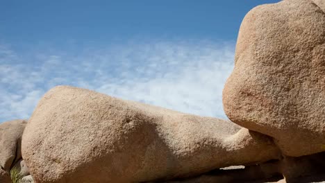 Joshua-Tree-National-Park-Daytime-Rocks-0