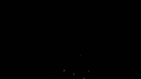loop footage fireworks with sparkling lights and stars, ignites an explosion on a black background