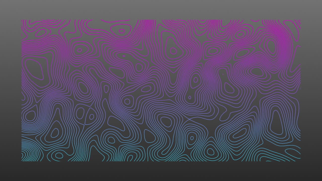 animación de líneas topográficas azules y rosas que se mueven orgánicamente sobre un fondo gris