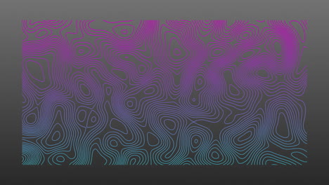 animación de líneas topográficas azules y rosas que se mueven orgánicamente sobre un fondo gris