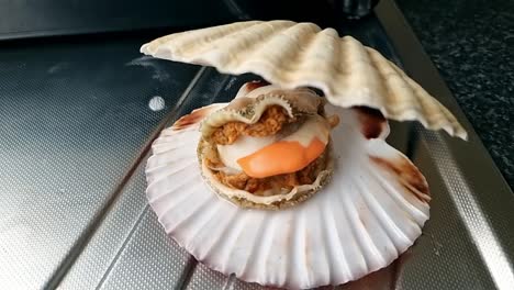 Whole-Bay-scallop-saltwater-clam-inside-shell-on-aluminium-kitchen-surface