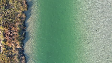 drone shot of blue ocean waters in tidal flats area, aerial footage