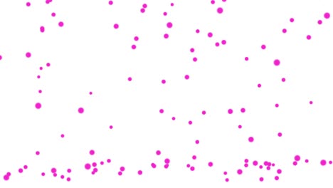 bola púrpura brillante rebota en el suelo movimiento de animación en fondo blanco