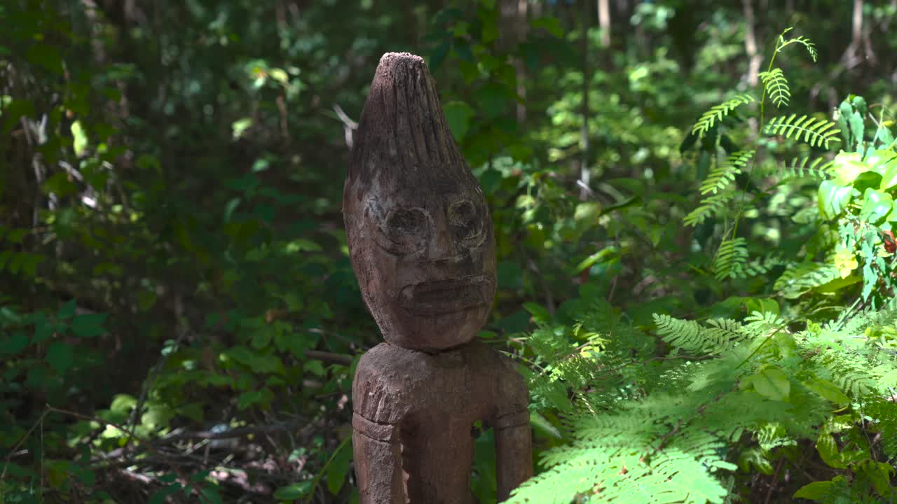 plano medio de la estatua de madera en el bosque dominicano