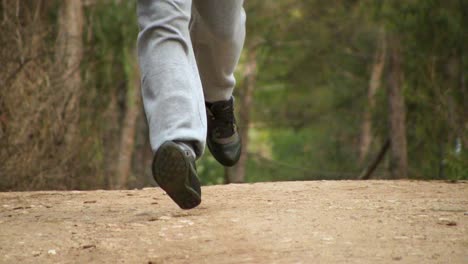 boxeador corriendo por el bosque hacia la cámara