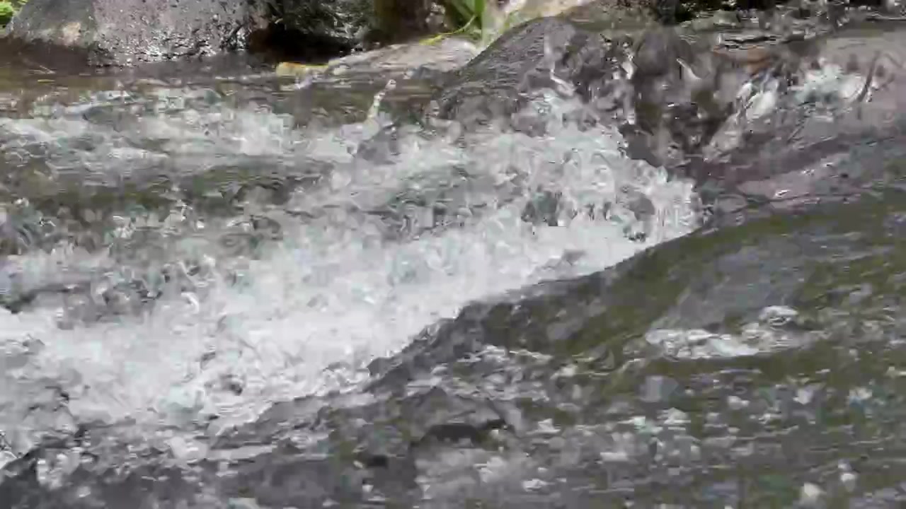 Acqua cristallina che scorre su rocce scure in un ruscello