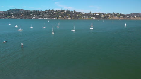 traipsing along the waterfront of sausalito harbor across the bay from san francisco