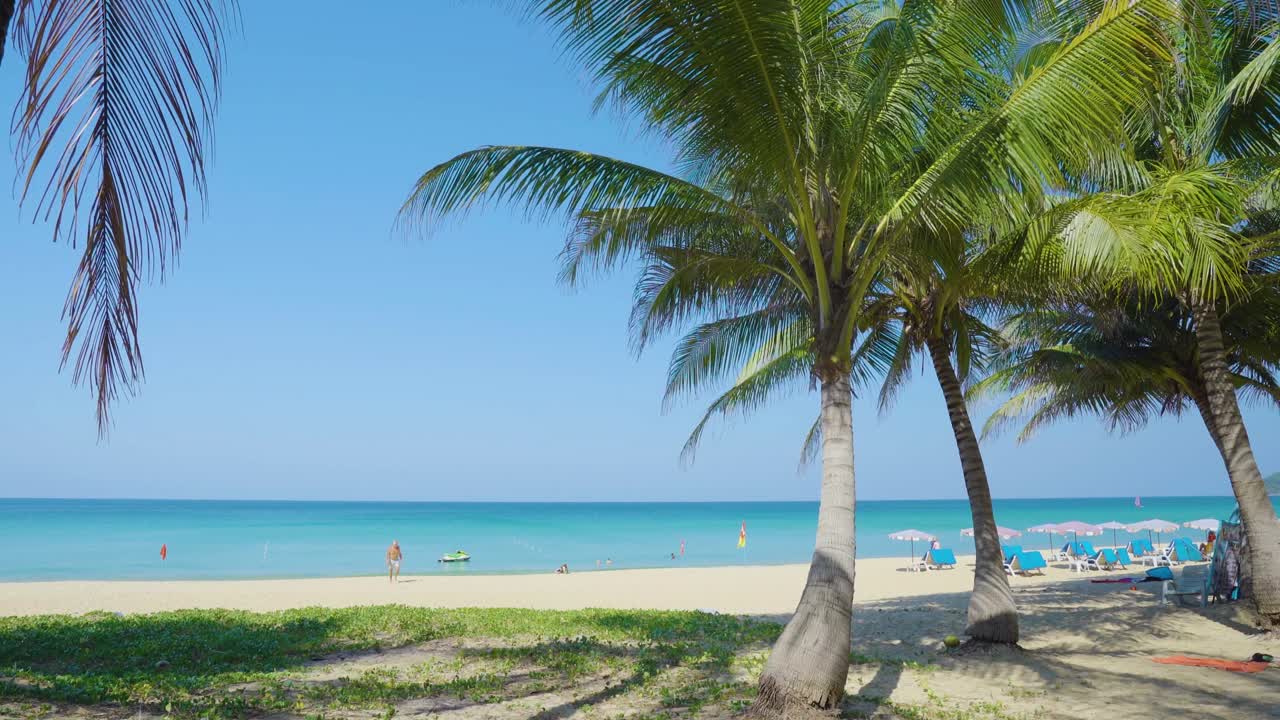 공허한 열대 해변과 파란 하늘의 빛에 대한 코코  나무의 경치 좋은 풍경.
