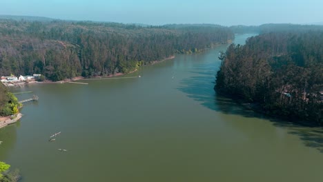 Aerial-view-dolly-in-the-lagoon-of-Curauma,-Chile-surrounded-by-a-pine-forest