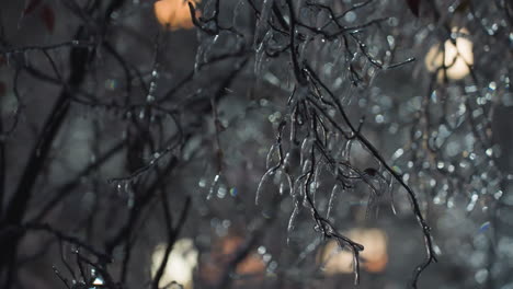 close-up of bare tree branches covered in frost, with snowdrops on green leaves, creating a magical winter scene, a blurred background with glowing lights from buildings