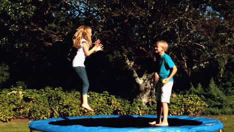 Fröhliche-Geschwister-Haben-Spaß-Mit-Einem-Ball-Auf-Einem-Trampolin