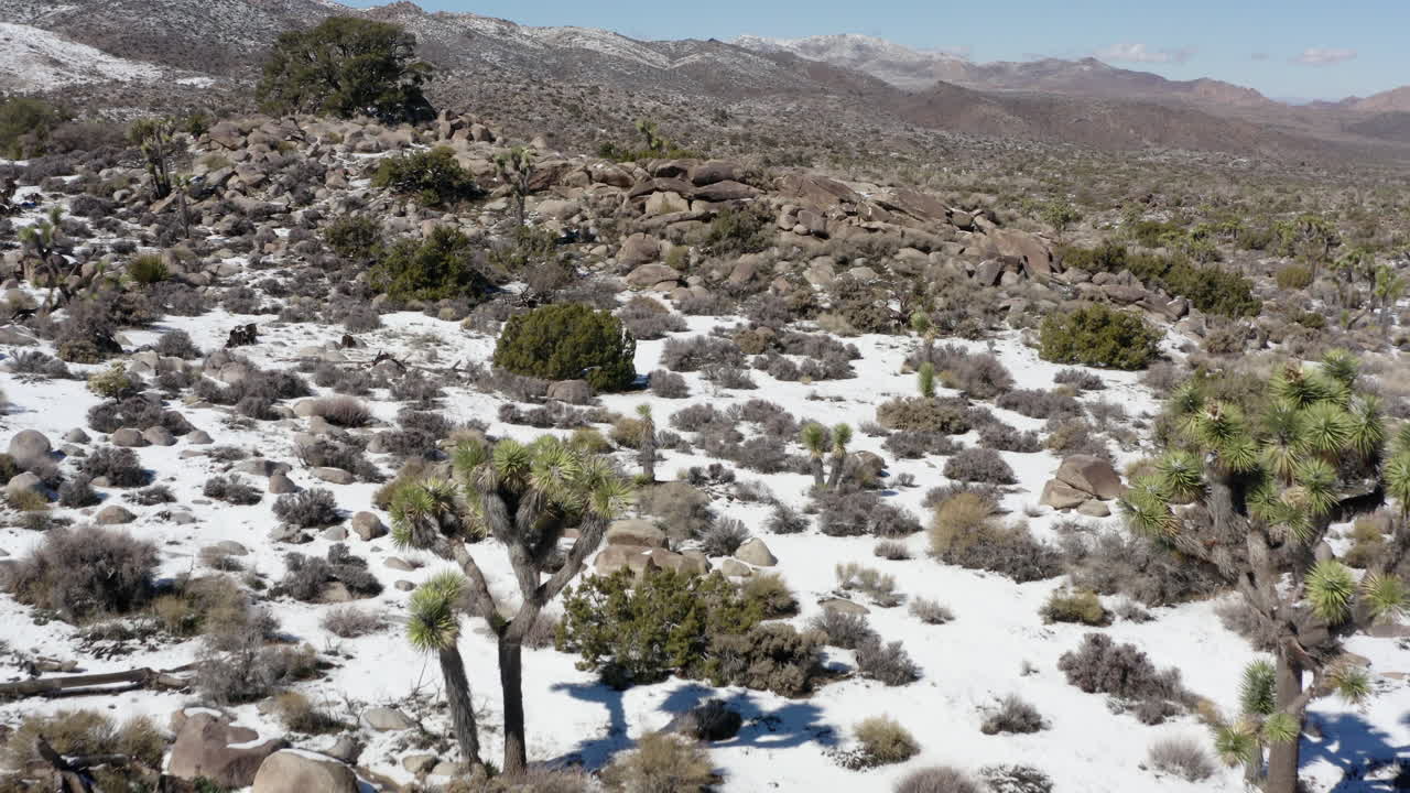 vista aérea del desierto de joshua tree cubierto de nieve