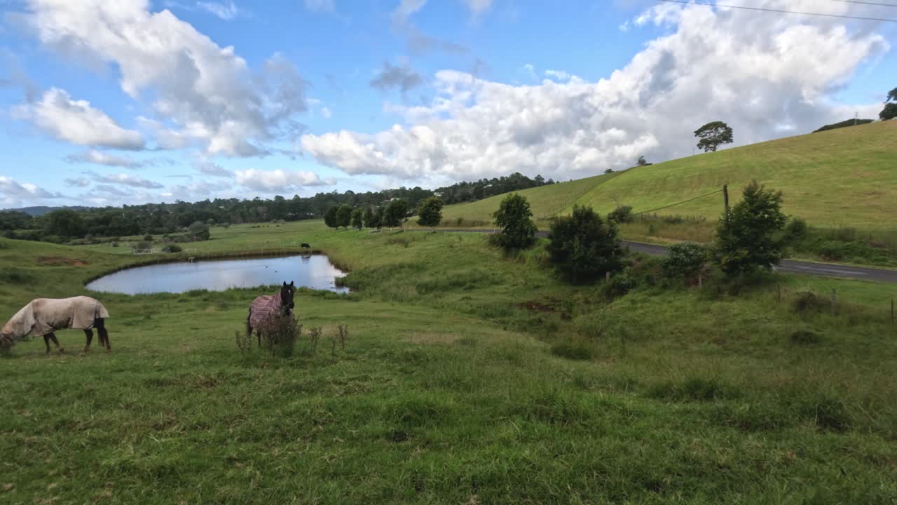 caballo pastando pacíficamente junto a un lago sereno