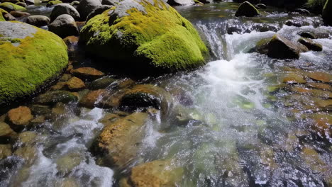 mountain stream with mossy rocks