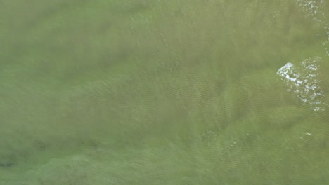 aerial: panning shot of waves crashing on the surface of green sea on the shallow shore