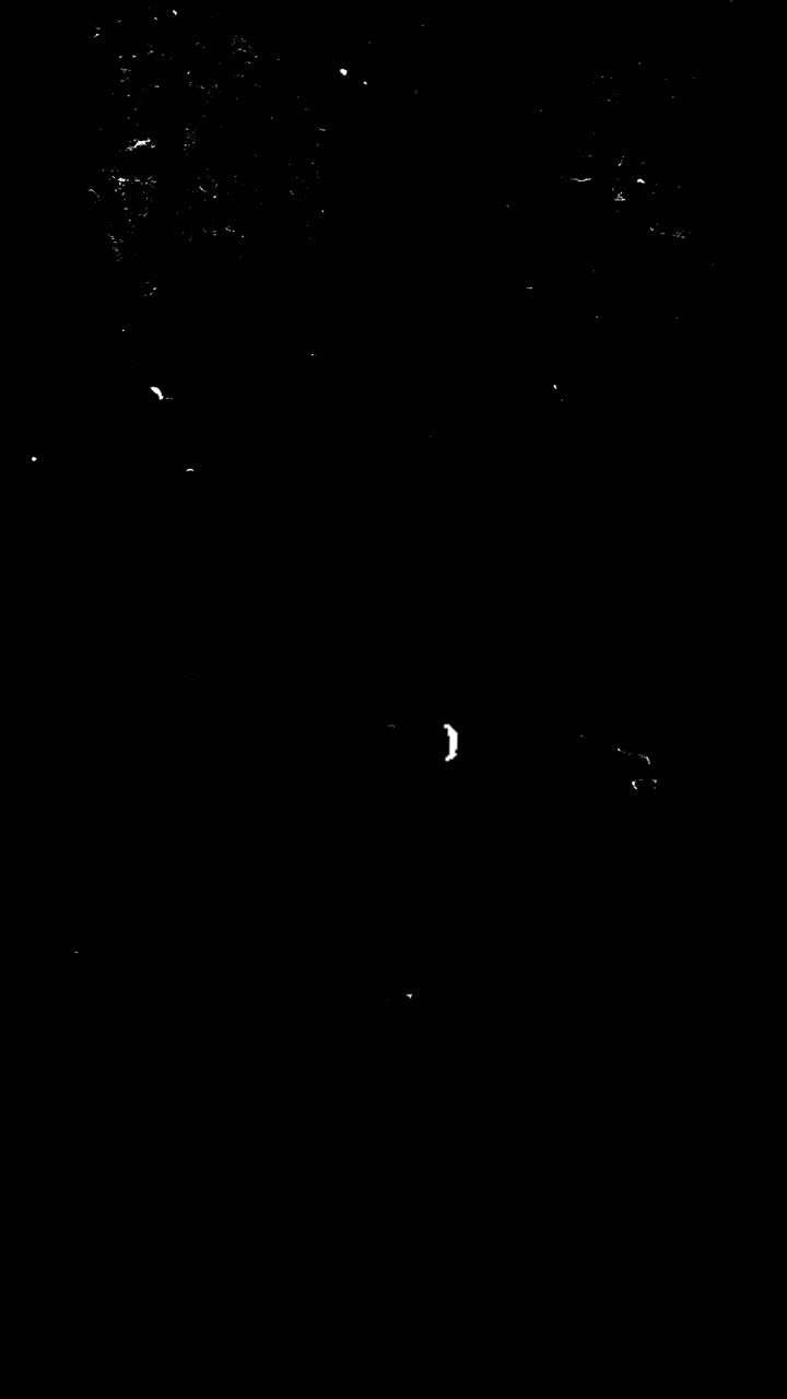 Abstract White Dust Particles Moving on Black Background