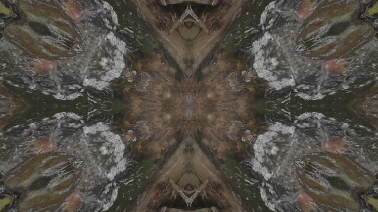 caleidoscopio de tomas de la naturaleza, wissahickon creek