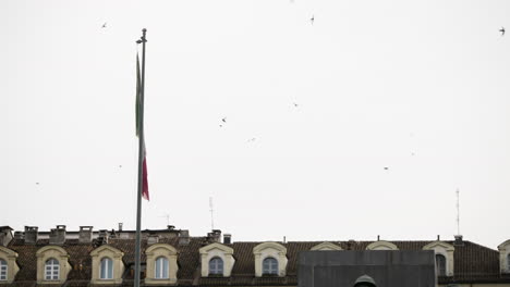 Static-shot-of-birds-flying-around-over-Italian-rooftops-and-flag