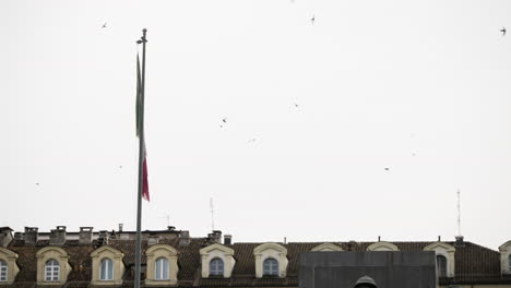 static shot of birds flying around over italian rooftops and flag