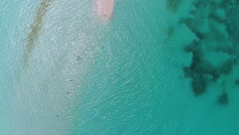 shades of blue caribbean sea and flooded sandbank, zenith shot cayo de agua, los