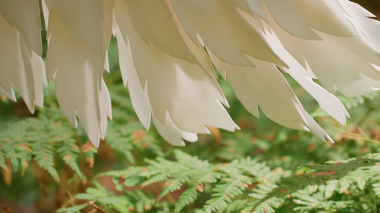 Close up of forest guardian wing brushing over fern leaves while walking through bright forest light showing purity strength and sacred connection between mystical being and nature glowing
