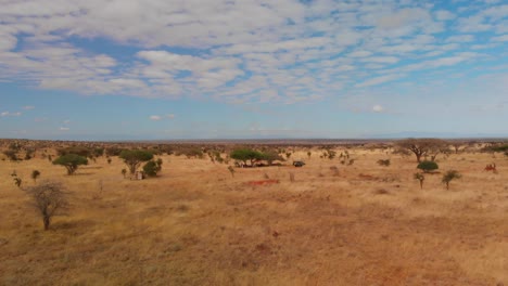 The-savanna-at-Tsavo-West,-near-the-Lions-Bluff-lodge,-Kenya