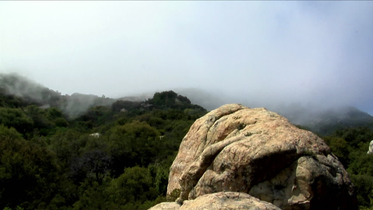 안개는 캘리포니아 산맥의 울창한 숲이 우거진 언덕 위로 굴러갑니다.