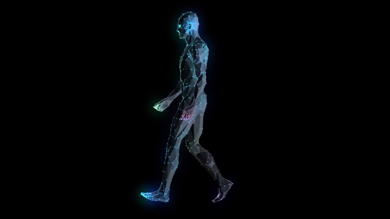 3d 인간 기 와이어 프레임 측면 뷰