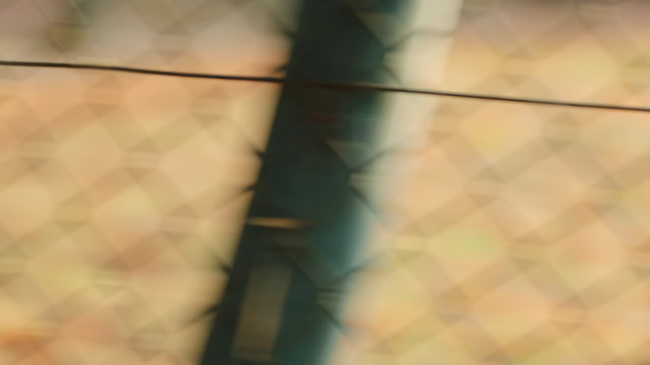 perro ladrando detrás de las cercas. raza de gran danés con manchas ladrando a la cámara en resolución 4k