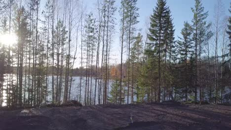 owner overlooking his rural land, aerial ascending over treetops