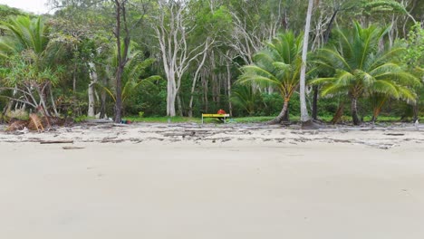 aerial footage captures a serene beach and lush forest in port douglas, australia, with a focus on natural beauty and tranquility