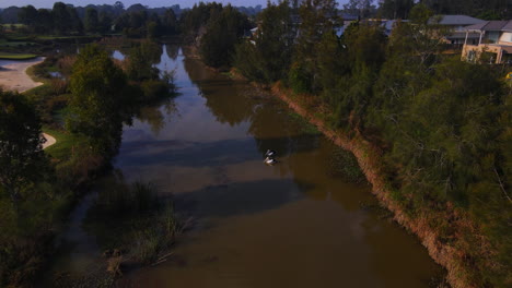 Pelicans-on-a-river-in-a-suburb