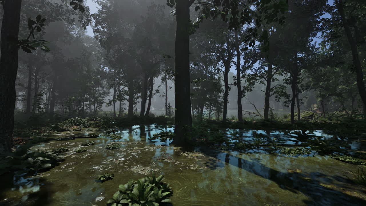 un hermoso bosque de musgo con niebla y luz solar que fluye a través de los árboles